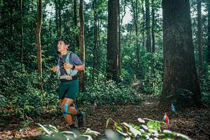 BIB: 
                            <button type="button" onclick="openModal(26070209)" class="btn btn-primary btn-sm float-right btn-popup" data-toggle="modal" data-target=".modal-high-quality">
                        <i class="fas fa-shopping-cart"></i> Add to Cart
                    </button>
                                            <button type="button" onclick="isThisMe(26070209, true)" class="btn btn-success btn-sm float-right btn-popup btn-isme hidden" data-toggle="tooltip" data-placement="bottom" title="นี่คือรูปของคุณใช่ไหม คลิกที่นี่เพื่อเอาเข้าอัลบั้ม">
                        <i class="fas fa-plus"></i> Add to album
                    </button>
                    <button type="button" onclick="isThisMe(26070209, false)" class="btn btn-warning btn-sm float-right btn-popup btn-isnotme hidden">
                        <i class="fas fa-ban"></i> Remove from album
                    </button>